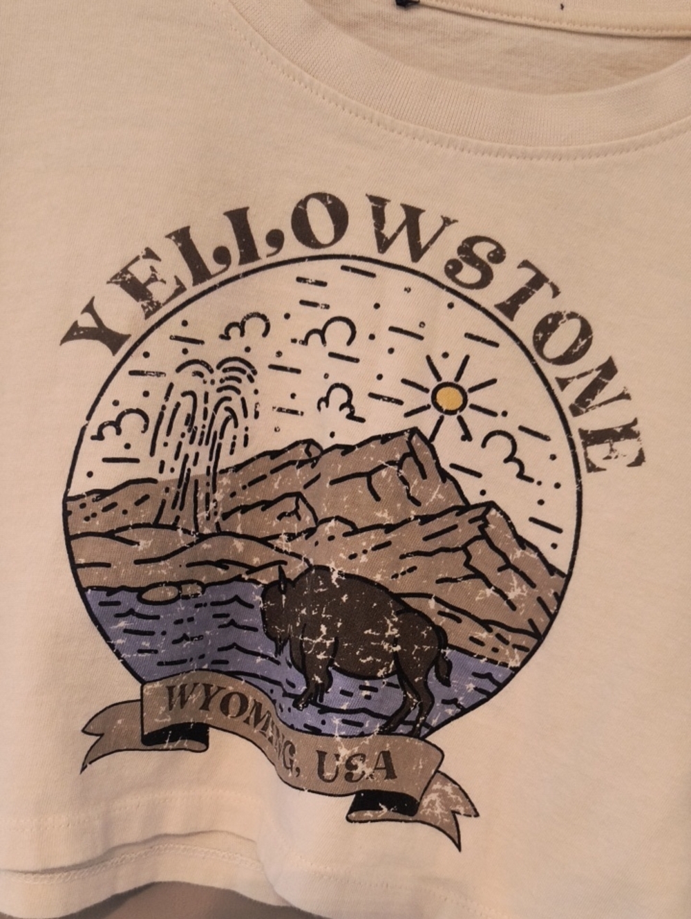 Yellowstone Graphic Crop Top